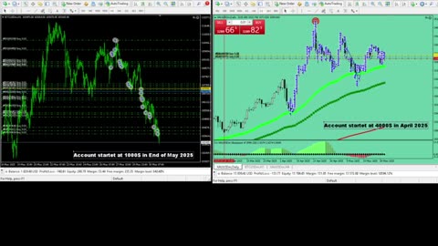 Live Stream Gold and BTC Trading from Monday to Sunday
