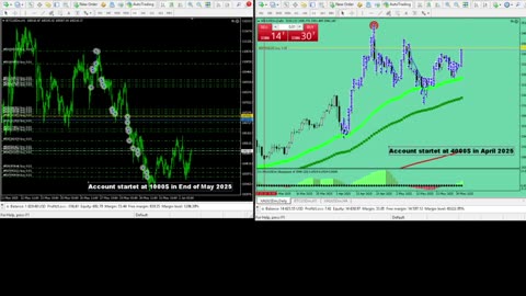 Live Stream Gold and BTC Trading from Monday to Sunday