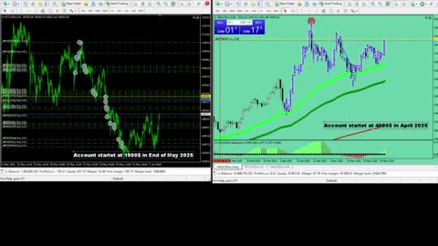Live Stream Gold and BTC Trading from Monday to Sunday