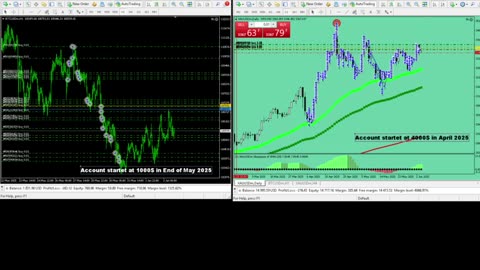 Live Stream Gold and BTC Trading from Monday to Sunday