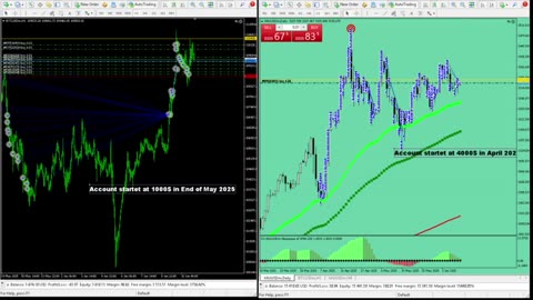 Live Stream Gold and BTC Trading from Monday to Sunday