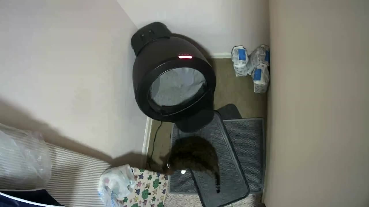 🤣🤖 Litter Robot Cycles: Hilarious Reactions! | FunFM
