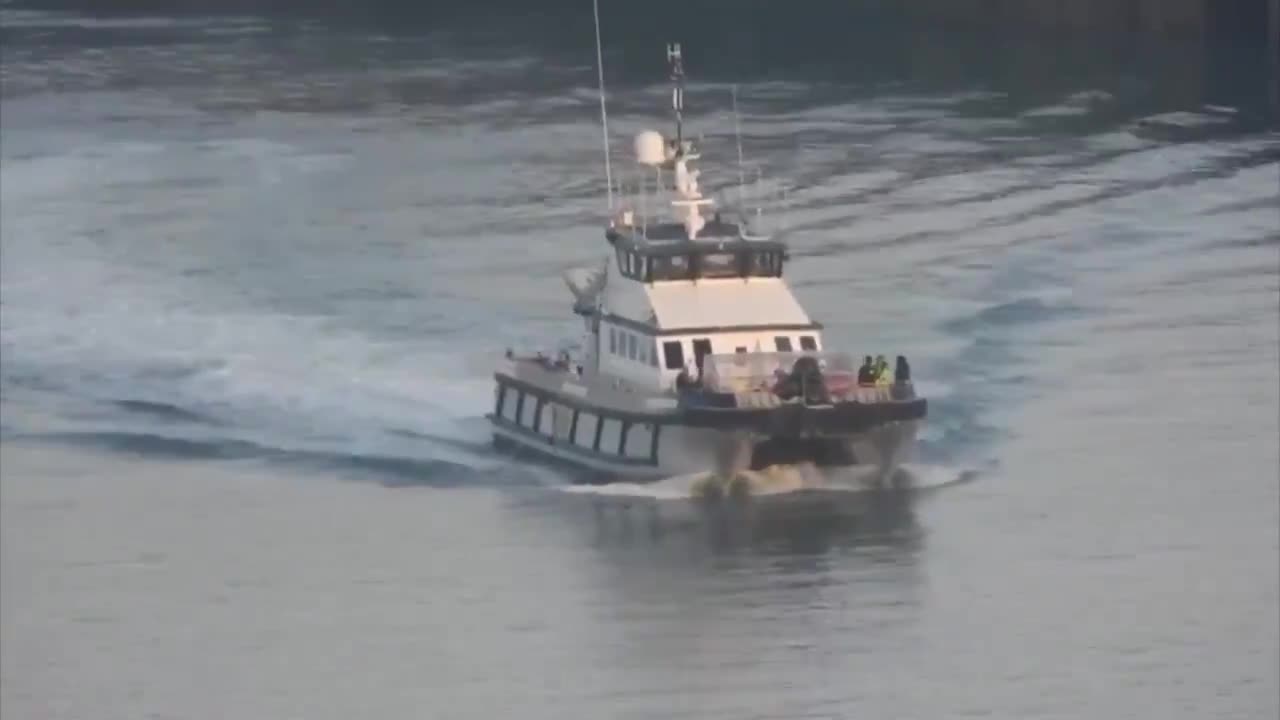 Over 700 migrants landed in Dover yesterday!