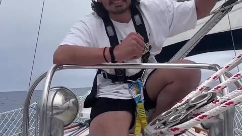Guy who quit his job to set sail with his cat gives us Day 8 update