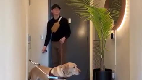 Husband to a blind man pranks his partner into thinking he's in the wrong apartment