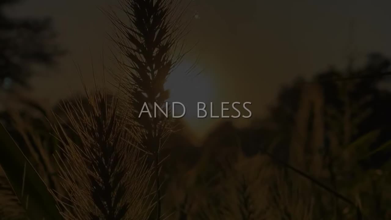 🙏✨ Reflection & Prayer for Divine Peace | Find Calm in God's Presence | InGodWeTrustDaily