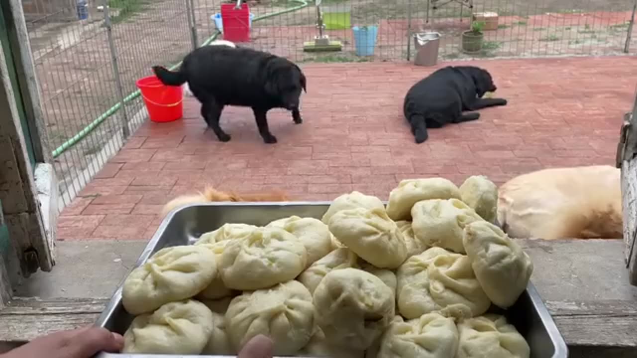 viral