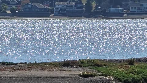 Shimmering water