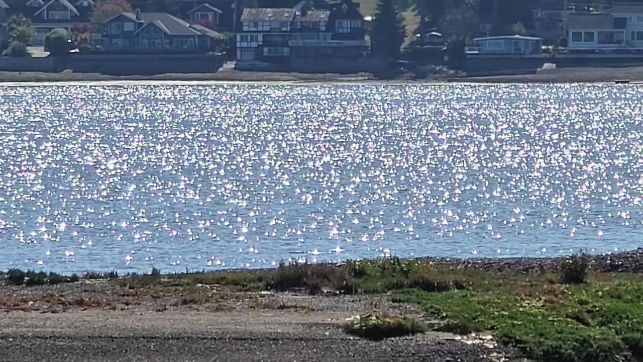 Shimmering water