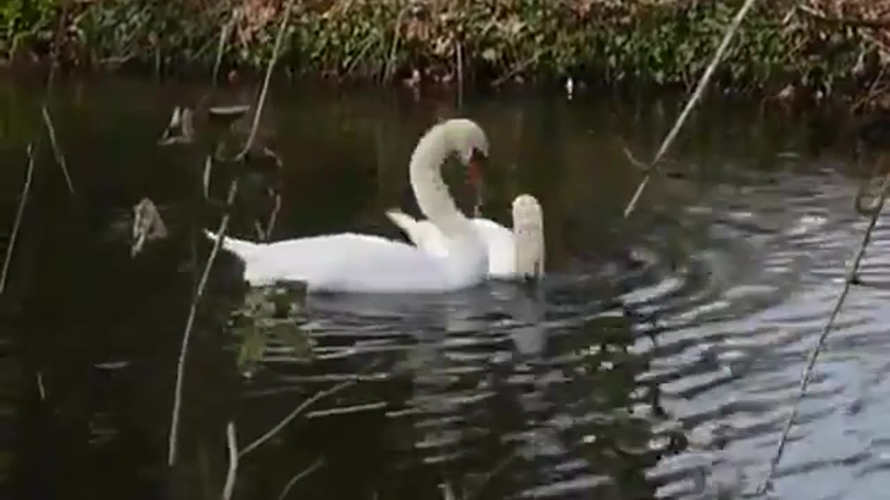 PRAYING FOR A CHANGE - DAILY DEVOTIONAL ❤️