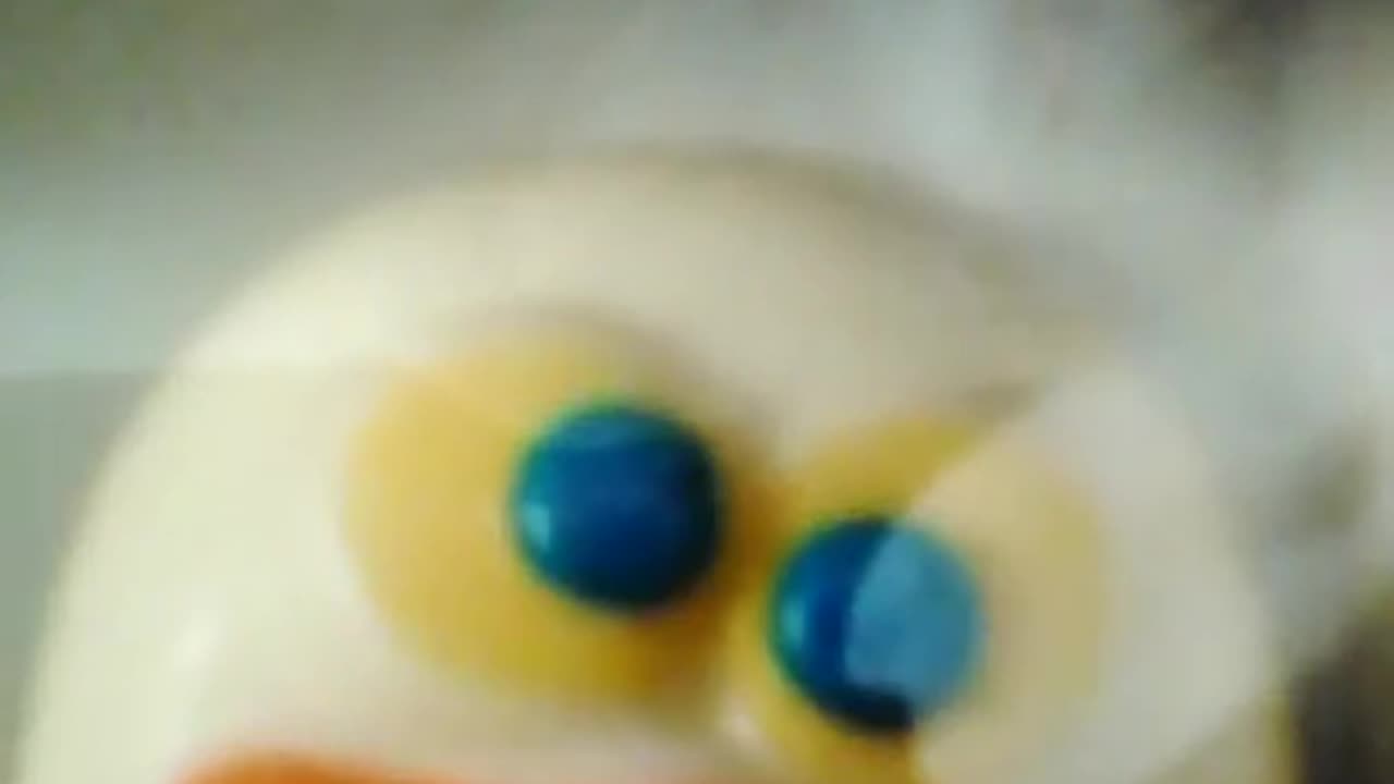 Meet Herp Derp The Duck