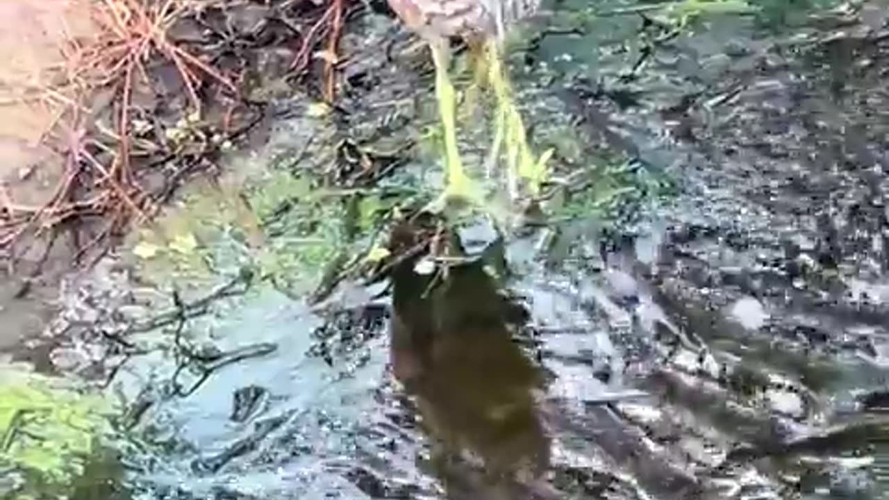 😢😂 That Poor Thing Has Absolutely Had Enough! | FunFM