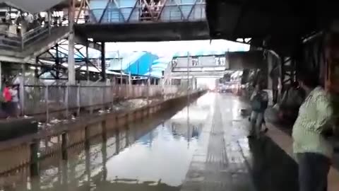 Train Rides