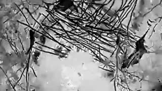 🦅💣 Work of Ukrainian bomber drone on Russian dugout in Donetsk region.
