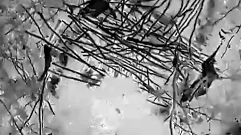 🦅💣 Work of Ukrainian bomber drone on Russian dugout in Donetsk region.