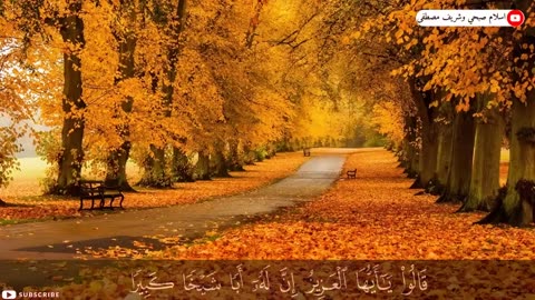 سورة يوسف ابداع و راحة للنفس لا توصف 💚 تلاوة عذبة 💚 ارح قلبك ❤️ (1)