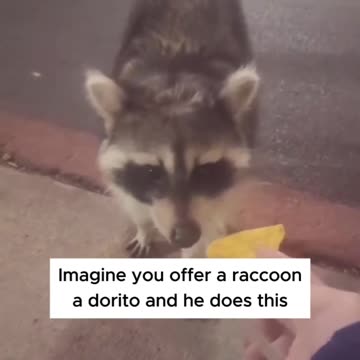 Too funny. This is exactly how liberals look