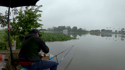 Fische im Strom Angeln pur #Flussfischen #Angelzeit #Outdoor