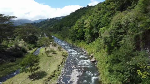 Types of Environmental Surveys and Their Applications