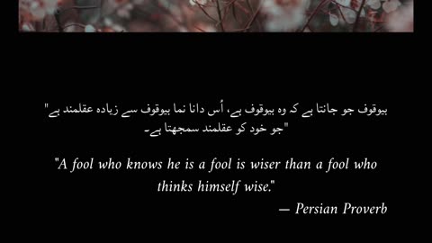 Thinking you know everything… is the first sign you don’t.