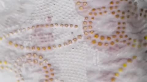 POV: You made a carnivorous plant and now you're low-key scared of it.