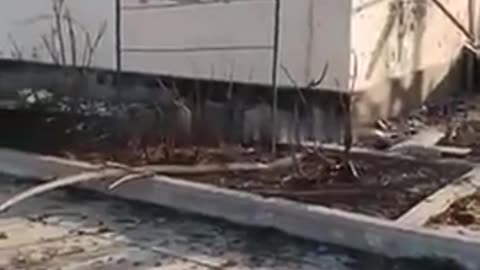⚔️🌍 Ukraine Russia War | Russian Attack on SOCAR Oil Depot in Odessa | RCF