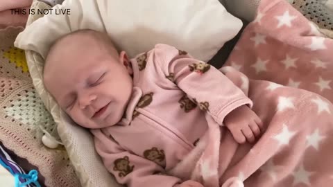 Baby Kayla Highlights LIVE NEWBORN - 80 DAYS UPDATED!