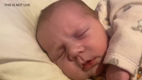 Baby Kayla Highlights LIVE NEWBORN - 80 DAYS UPDATED!