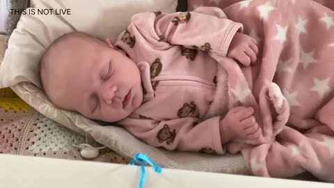 Baby Kayla Highlights LIVE NEWBORN - 80 DAYS UPDATED!