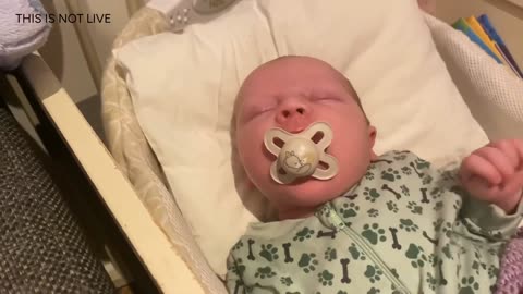 Baby Kayla Highlights LIVE NEWBORN - 80 DAYS UPDATED!