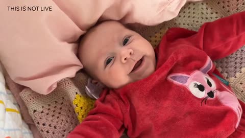 Baby Kayla Highlights LIVE NEWBORN - 80 DAYS UPDATED!