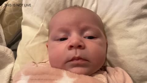 Baby Kayla Highlights LIVE NEWBORN - 80 DAYS UPDATED!