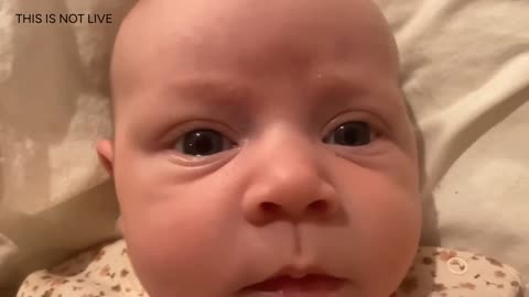 Baby Kayla Highlights LIVE NEWBORN - 80 DAYS UPDATED!