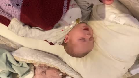 Baby Kayla Highlights LIVE NEWBORN - 80 DAYS UPDATED!