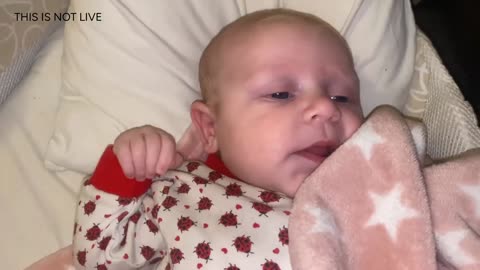 Baby Kayla Highlights LIVE NEWBORN - 80 DAYS UPDATED!