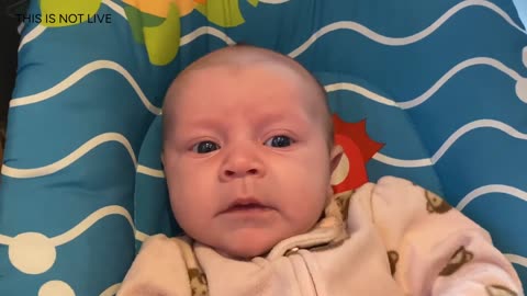 Baby Kayla Highlights LIVE NEWBORN - 80 DAYS UPDATED!