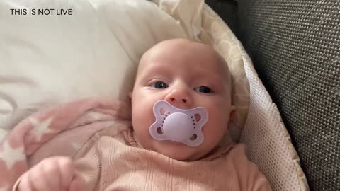 Baby Kayla Highlights LIVE NEWBORN - 80 DAYS UPDATED!