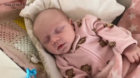 Baby Kayla Highlights LIVE NEWBORN - 80 DAYS UPDATED!