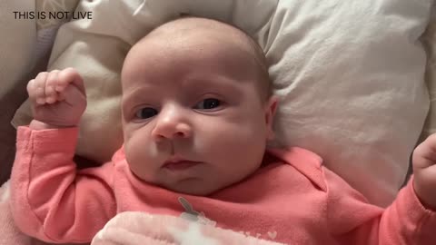 Baby Kayla Highlights LIVE NEWBORN - 80 DAYS UPDATED!