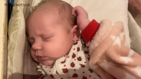 Baby Kayla Highlights LIVE NEWBORN - 80 DAYS UPDATED!