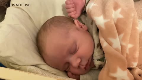 Baby Kayla Highlights LIVE NEWBORN - 80 DAYS UPDATED!