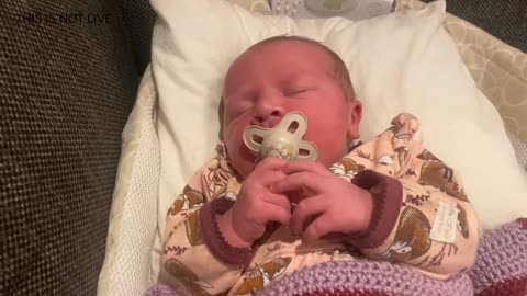 Baby Kayla Highlights LIVE NEWBORN - 80 DAYS UPDATED!