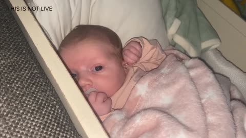 Baby Kayla Highlights LIVE NEWBORN - 80 DAYS UPDATED!