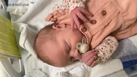 Baby Kayla Highlights LIVE NEWBORN - 80 DAYS UPDATED!