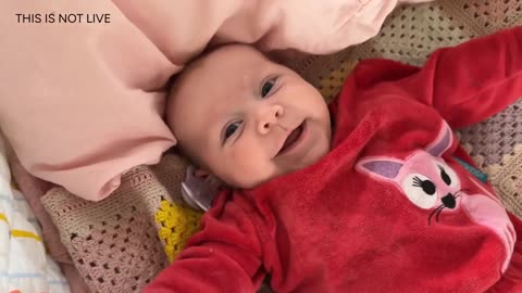 Baby Kayla Highlights LIVE NEWBORN - 80 DAYS UPDATED!