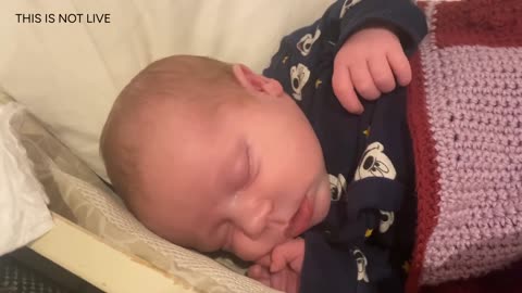 Baby Kayla Highlights LIVE NEWBORN - 80 DAYS UPDATED!