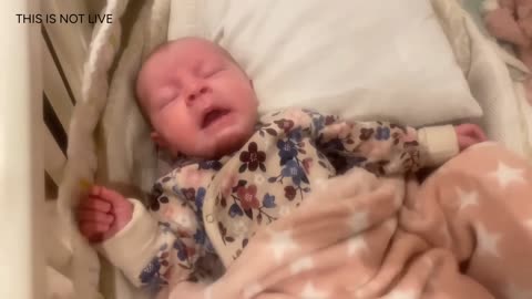 Baby Kayla Highlights LIVE NEWBORN - 79 DAYS