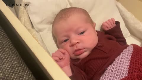 Baby Kayla Highlights LIVE NEWBORN - 79 DAYS