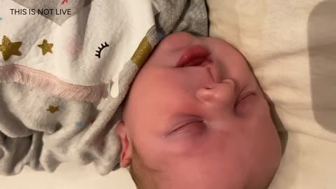 Baby Kayla Highlights LIVE NEWBORN - 79 DAYS