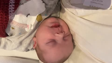 Baby Kayla Highlights LIVE NEWBORN - 79 DAYS